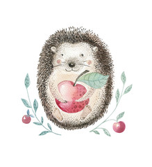 Watercolor hedgehog. Hand drawn boho illustration Perfect for phone cases design, nursery posters, postcards. © kris_art