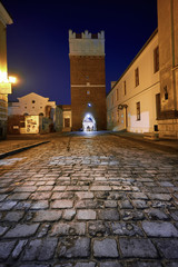 Naklejka premium Gate Opatowska in Sandomierz at night, old town