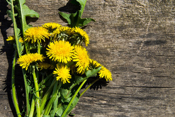 Yellow dandelion flowers on rustic wooden background. Top view