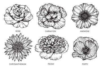Collection of flowers drawing and sketch with line-art on white backgrounds.