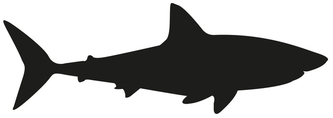 Fototapeta premium sylwetka rekina