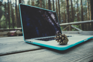 Freelancer laptop computer in the forest on the wooden textured table with cone, summertime. Photo...