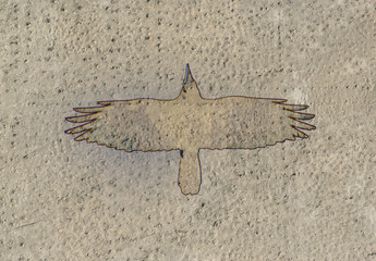 The contour of a bird on a concrete slab