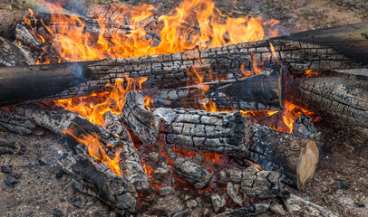 Burning logs in orange red bonfire at night