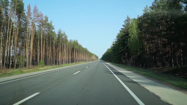 Movement of the car along the road along the forest.