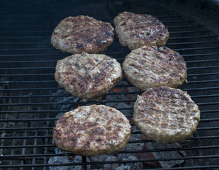 Burger Nr 13 - 006