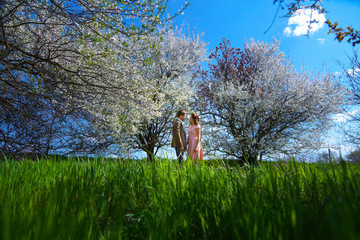 love srory,flowering trees