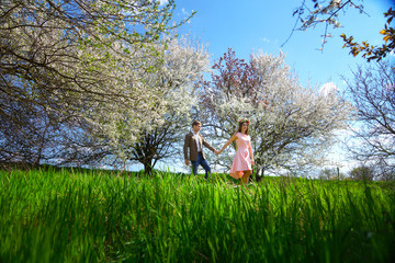 love srory,flowering trees