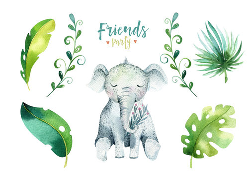 Baby animals nursery isolated illustration for children. Watercolor boho tropical drawing, child cute tropic turtle. Baby shower