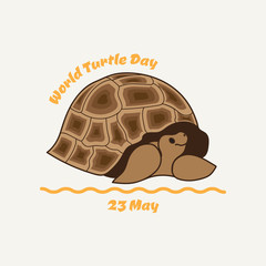 World turtle day.