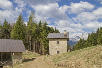 Papstweg bei Lorenzago di Cadore