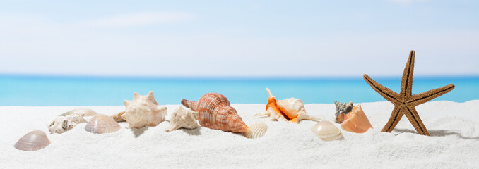 Fototapeta premium Banner summer background with white sand. Seashell and starfish on the beach.