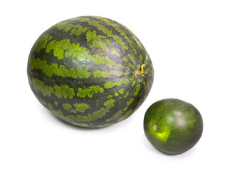 two water melons on a white background, big and small, dwarfish  version..