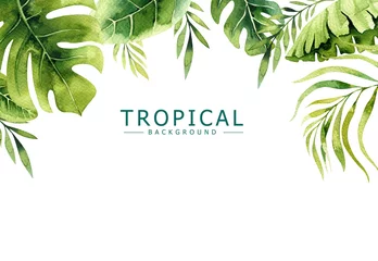 Foto op Canvas Hand getekend aquarel tropische planten achtergrond. Exotische palmbladeren, jungleboom, Braziliaanse tropische borany-elementen. Perfect voor stofontwerp. Aloha kunst. © kris_art