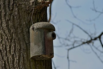 Nistkasten für kleine Vögel