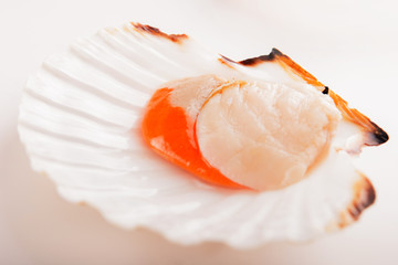 scallop