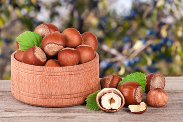 Hazelnuts with leaves in a wooden bowl on a wooden table with blurred garden background