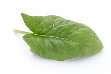 Fresh leaves of spinach on the white background.