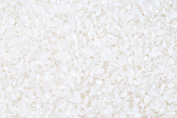 japanese rice, short grain rice - 148091385