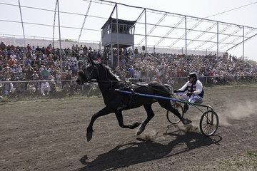 Horse with carriage and rider in motion on racetrack.