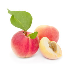Fresh apricots isolated on white