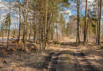 Obraz premium Sunny April day