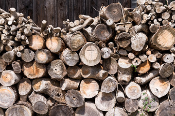 Timber for construction