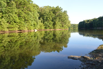 lake framed by trees