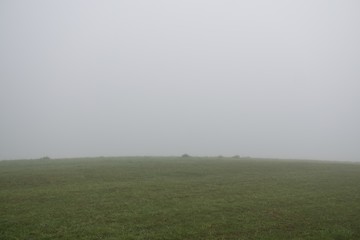 Mist in the woods during autumn. Slovakia