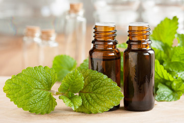 Melissa (lemon balm) essential oil - two bottles with fresh melissa leaves in the foreground