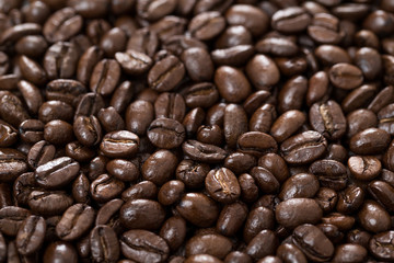 Roasted coffee bean
