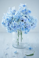 Beautiful blue hydrangea flowers close-up in a vase on a light background. 