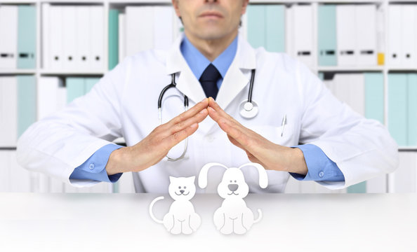 Veterinary doctor hands with animal icons. Vet clinic and pet care concept