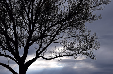 Spring Storm cr2017darrelljbanks