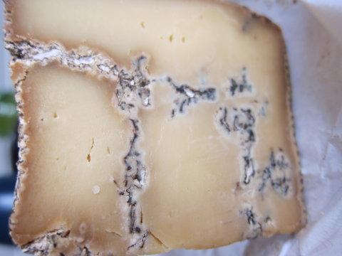 sehr sehr alter K&auml;se