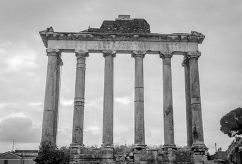 Obraz premium Forum Romanum columns