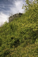 Spring nature in the Czech Central Mountains