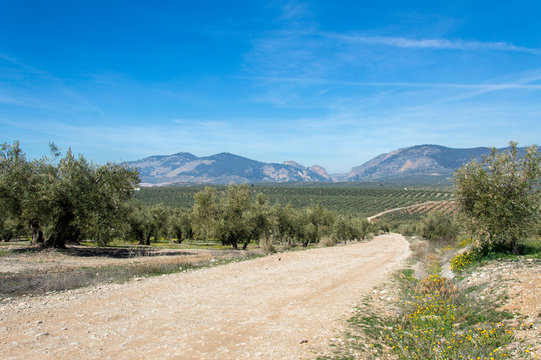 Hiking through idyllic landscape in Andalusia, Spain, during springtime