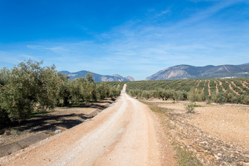 Hiking through idyllic landscape in Andalusia, Spain, during springtime