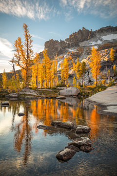 Mountains And Autumn Trees Reflected In Water, The Enchantments, Washington, USA