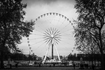 Grande roue parisienne en Noir et Blanc - Paris, France