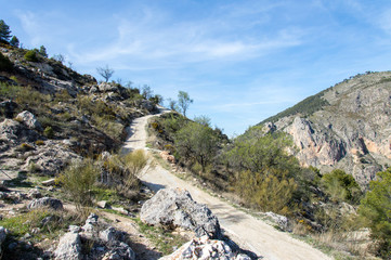 Fototapeta na wymiar Hiking through idyllic landscape in Andalusia, Spain, during springtime
