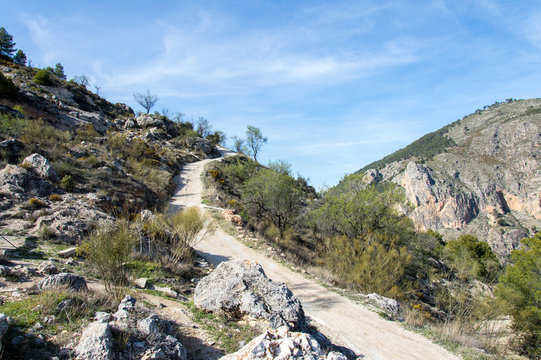 Hiking through idyllic landscape in Andalusia, Spain, during springtime