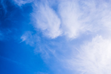 Naklejka na ściany i meble Blue bright sky, white cirrus clouds.