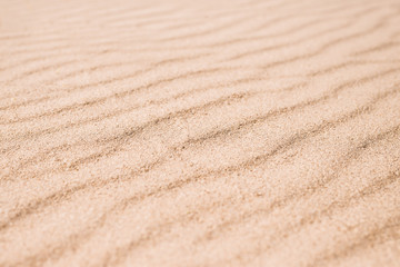 Fototapeta na wymiar Fine light yellow sand on the beach.