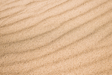 Fototapeta na wymiar Fine light yellow sand. Traces of drops after the rain on the sand.