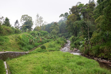 Fototapeta na wymiar Scene nature landscape of a secluded river in Indonesia