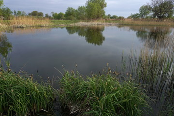 Small lake in springtime  