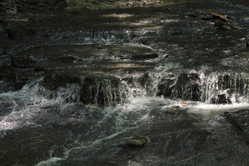 Creek - Onanda Park and Barnes Creek Gully - Canandaigua 19