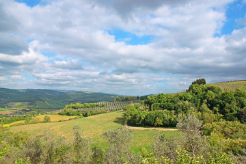 Fototapeta na wymiar Tuscany landscape. Italy